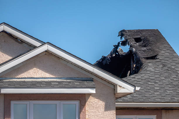 Top rated local Fire Damage Removal specialists in Medford, WI